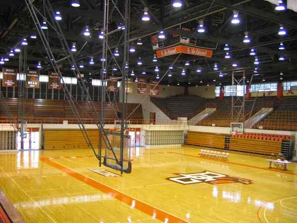 鐵力運動木地板廠家